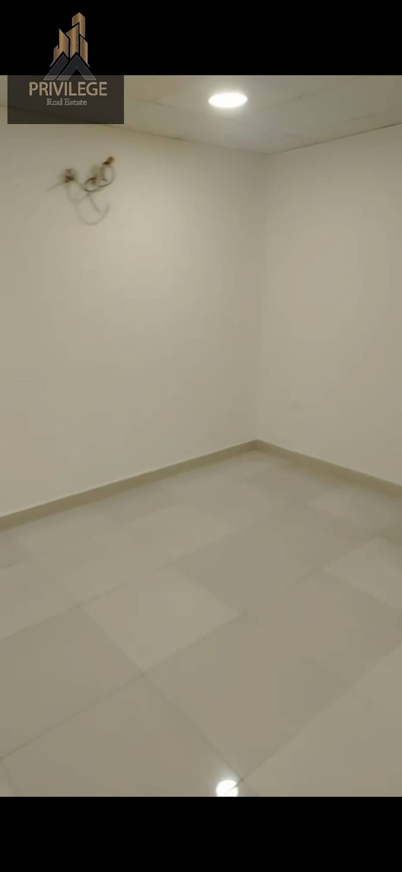 4 1000206224. jpg