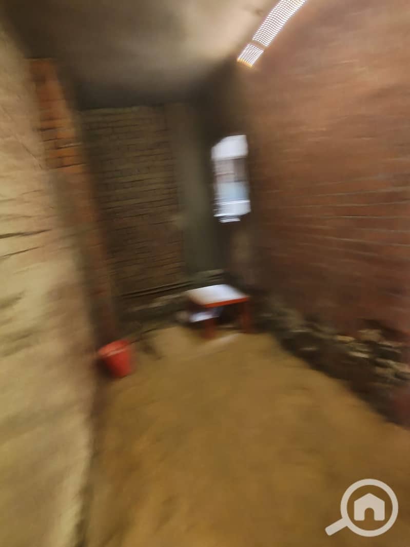 6 335549. jpg