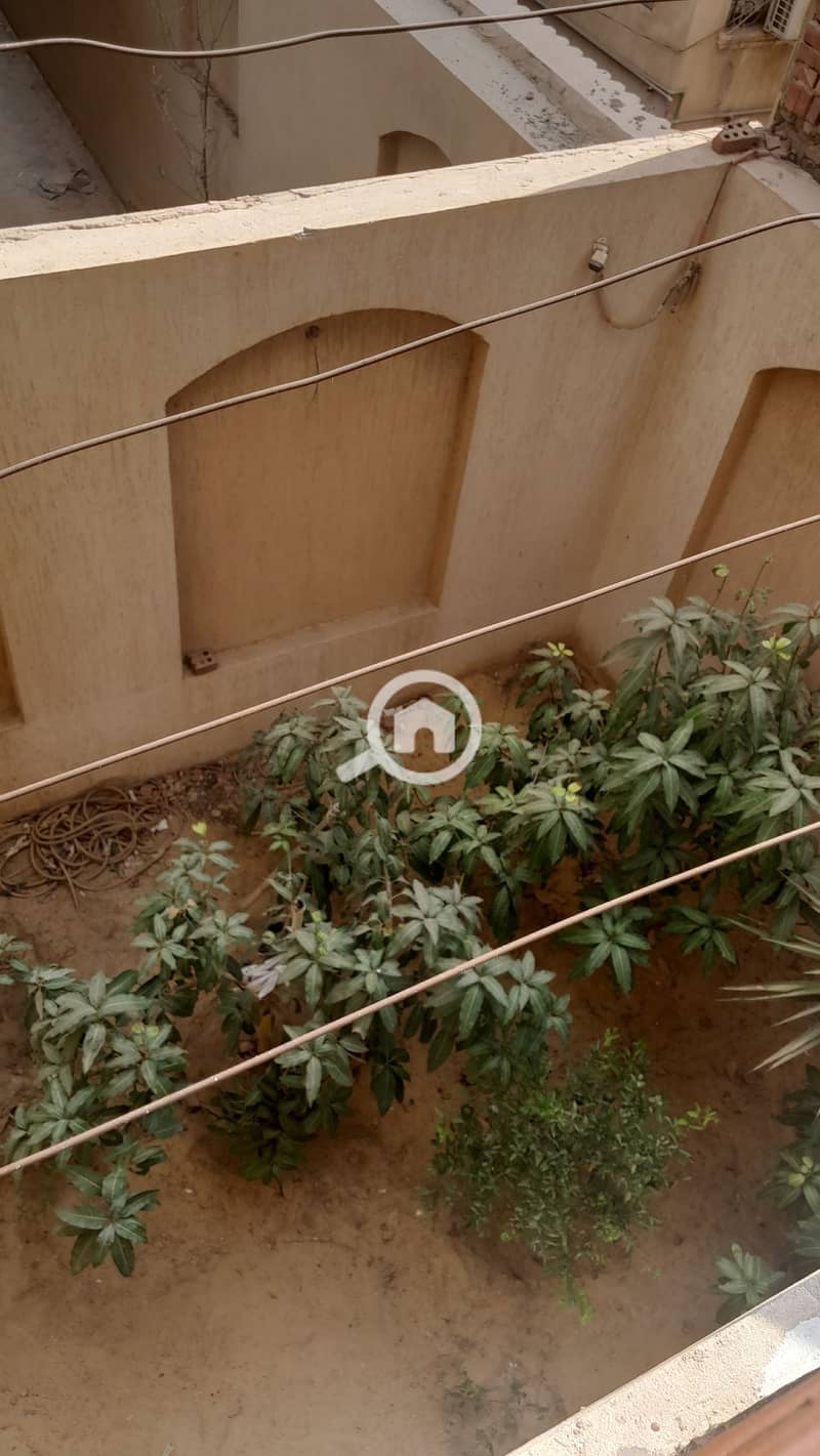 13 1000448441. jpg