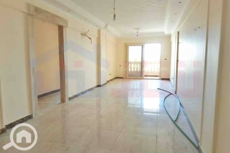 شقة 2 غرفة نوم للبيع في محرّم بيك، الإسكندرية - WhatsApp Image 2026-09-02 at 15.14. 27. jpg شقة 2 غرفة نوم للبيع في محرّم بيك، الإسكندرية - WhatsApp Image 2026-09-02 at 15.14. 27. jpg