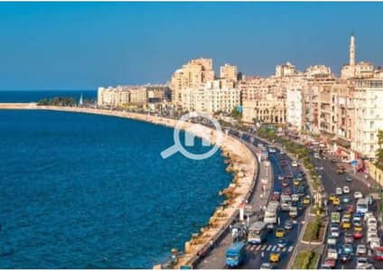 شقة 5 غرف نوم للبيع في زيزينيا، الإسكندرية - 1000237909. jpg شقة 5 غرف نوم للبيع في زيزينيا، الإسكندرية - 1000237909. jpg