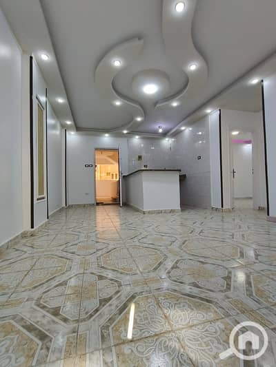 2 Bedroom Apartment for Sale in Nakheel, Alexandria - 1000483637. jpg