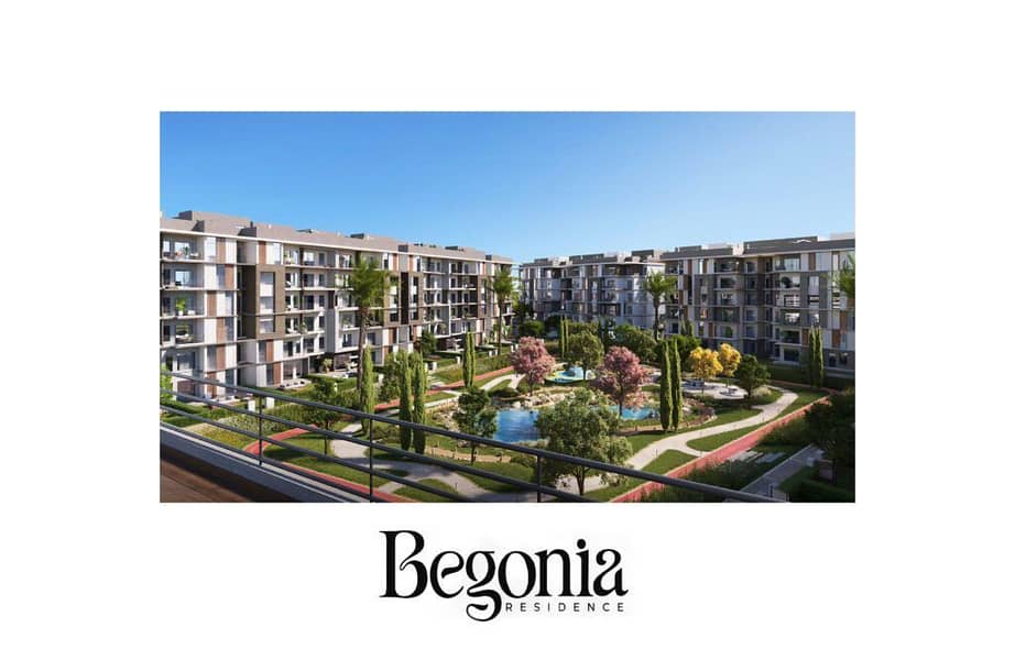 2 Begonia-pi-1-1024x666. jpg
