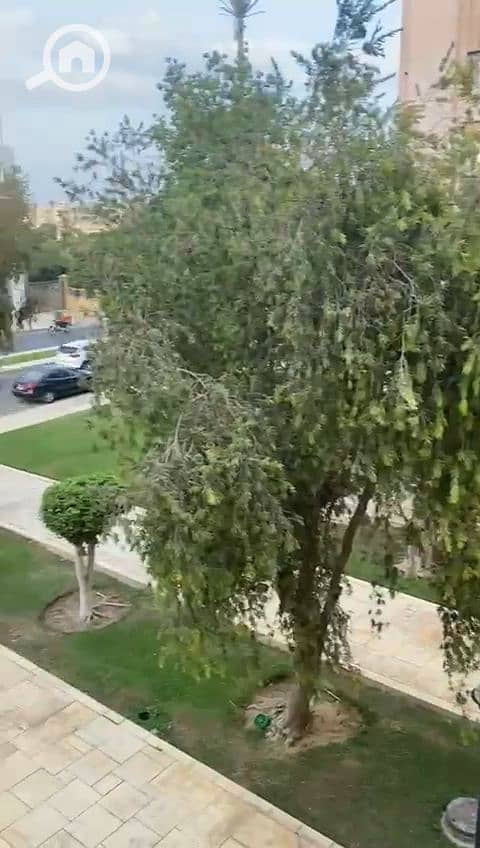 5 WhatsApp Image 2026-06-14 at 12.41. 55 PM. jpeg