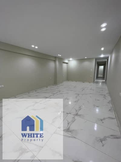 Office for Rent in Dokki, Giza - 1001037074. jpg