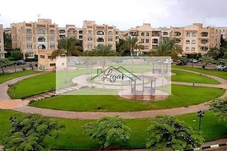 3 Bedroom Duplex for Rent in Sheikh Zayed, Giza - WhatsApp Image 2026-09-03 at 3.11. 17 PM (1). jpeg
