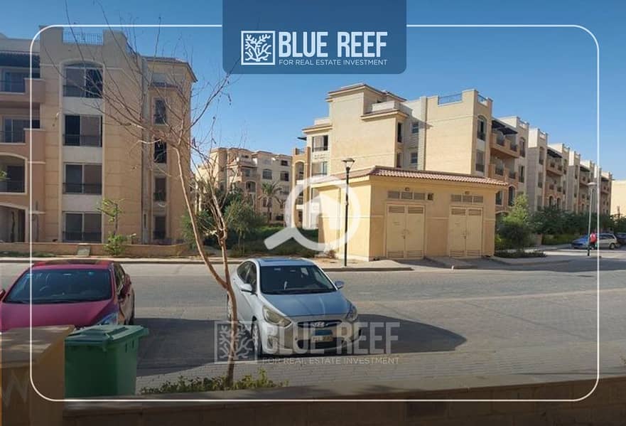 4 عنهعمنه. jpg