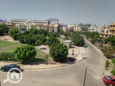 Room for Rent in New Cairo, Cairo - WhatsApp Image 2026-09-03 at 3.05. 37 PM5. jpeg