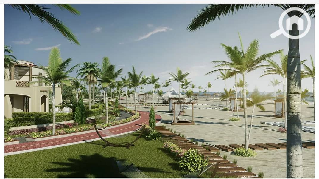 21 palm 5. png