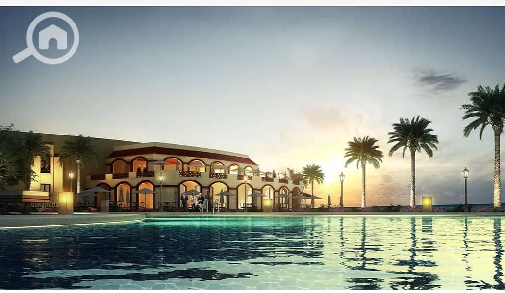 22 palm 8. png