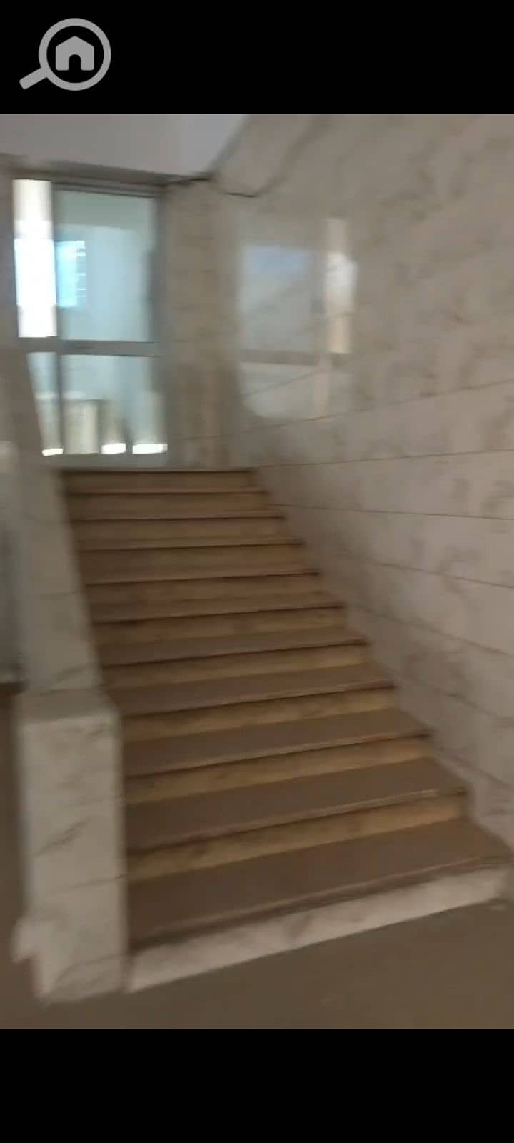 3 1000003969. jpg