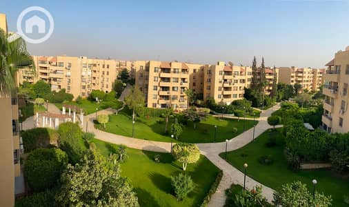 فلیٹ 3 غرف نوم للايجار في القاهرة الجديدة، القاهرة - WhatsApp Image 2026-09-03 at 3.42. 58 PM. jpeg فلیٹ 3 غرف نوم للايجار في القاهرة الجديدة، القاهرة - WhatsApp Image 2026-09-03 at 3.42. 58 PM. jpeg