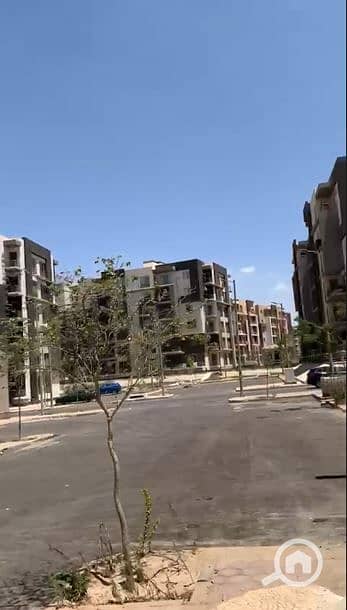 7 10. JPG