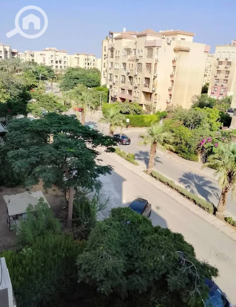 2 63569. jpg