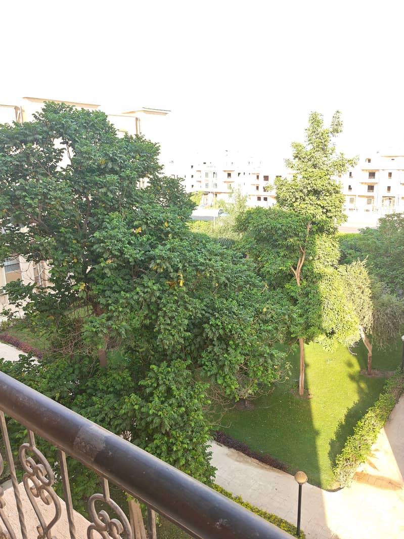 49566. jpg 49566. jpg