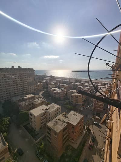 3 Bedroom Flat for Sale in Agami, Alexandria - شقة 140م 3 غرف بانوراما بحر – العجمي أمام الزهراء