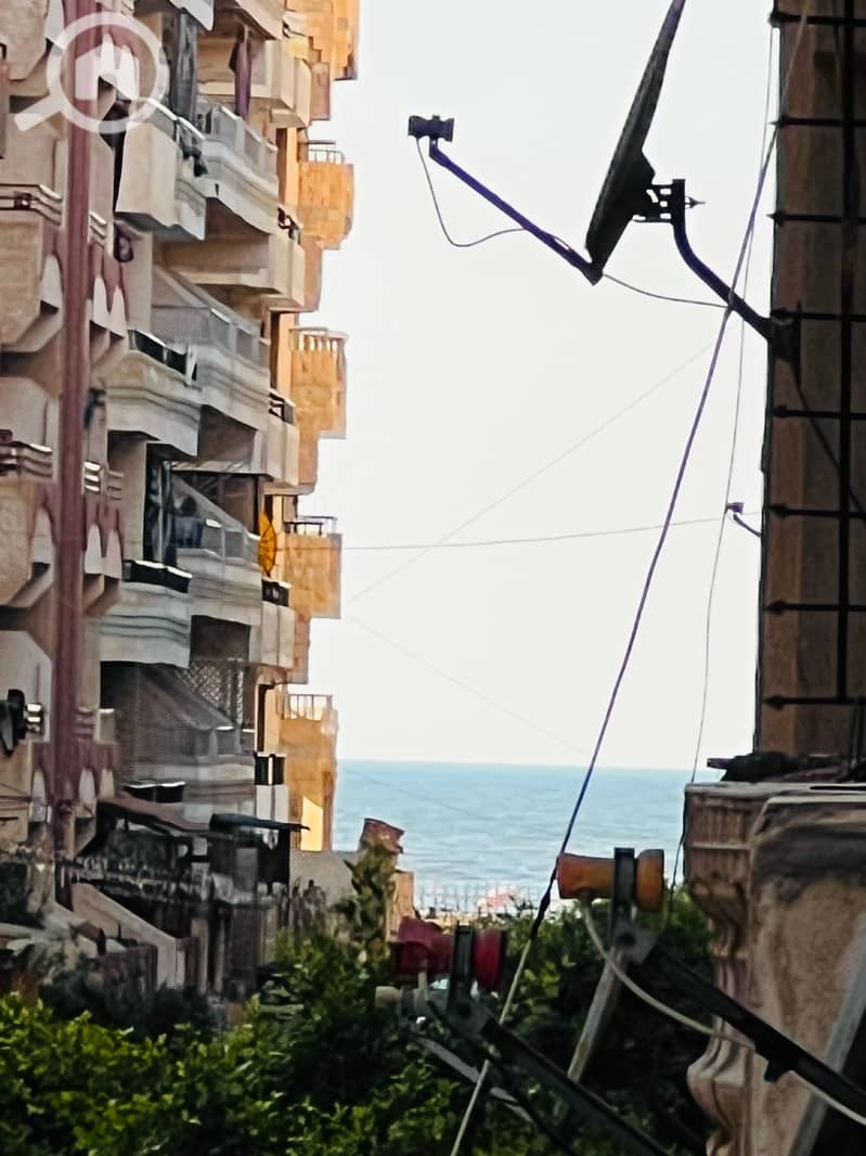 2 IMG_5024. jpg
