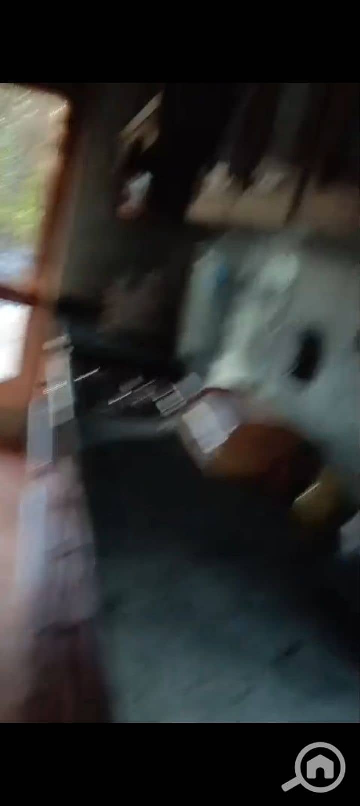 8 1000245755. jpg