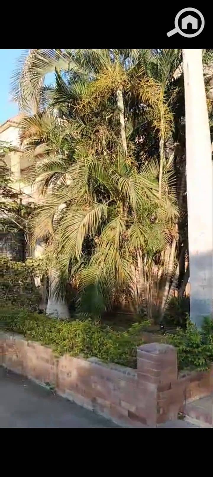 20 1000245741. jpg