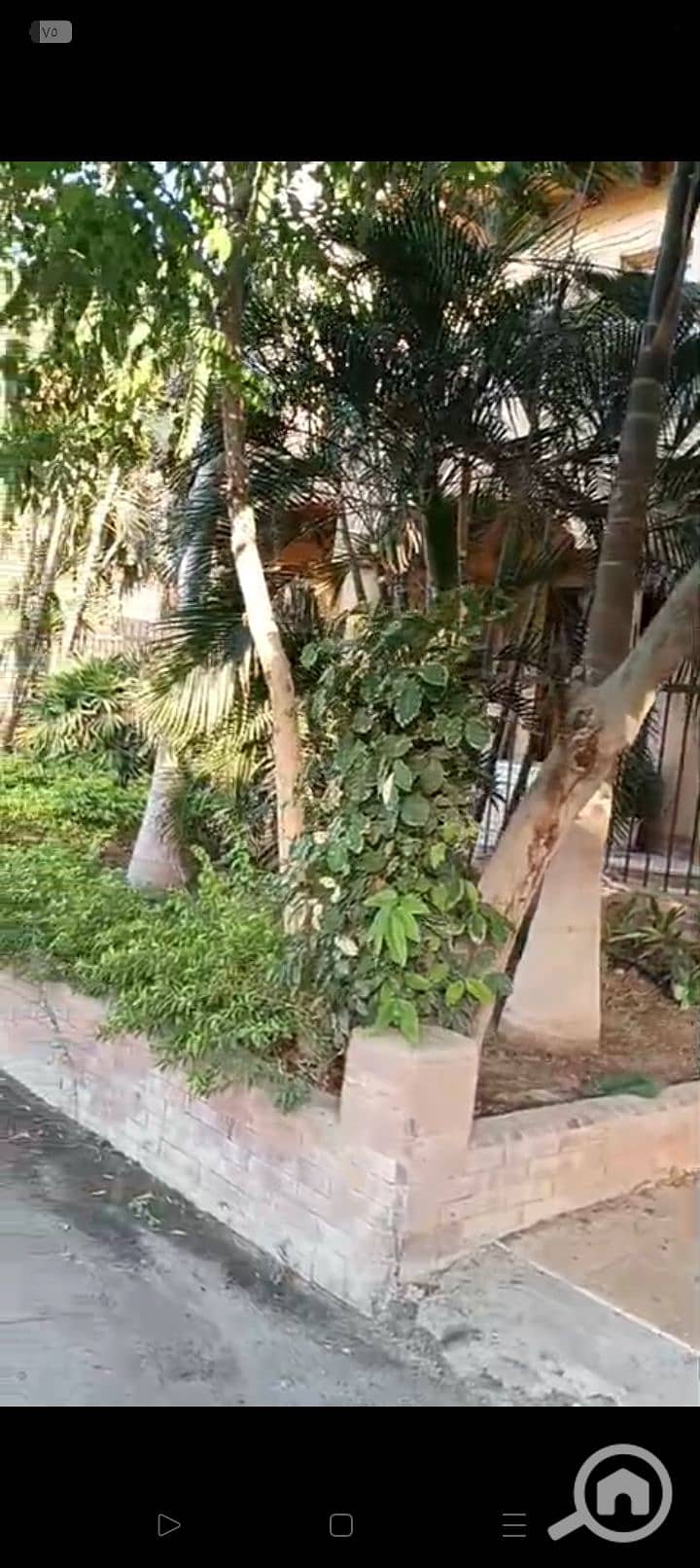 23 1000245738. jpg