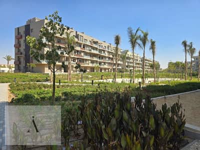 3 Bedroom Apartment for Rent in New Cairo, Cairo - WhatsApp Image 2026-06-04 at 12.24. 03 PM (5). jpg