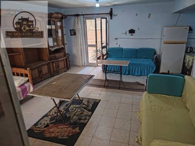 1 Bedroom Apartment for Rent in Agami, Alexandria - 224601. jpg