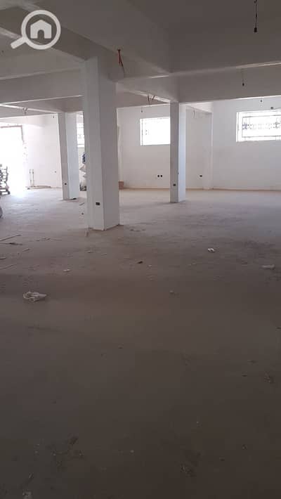 Factory for Rent in Badr City, Cairo - 556148. jpg