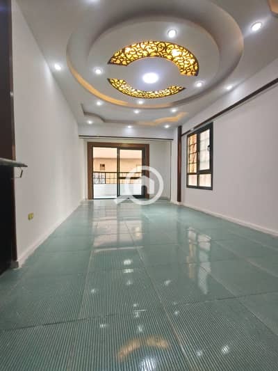 2 Bedroom Flat for Sale in Nakheel, Alexandria - 7883890c-9b5c-4a6b-a941-da837c5f6198. jpg