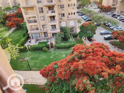 3 Bedroom Flat for Rent in Madinaty, Cairo - 1000481321. jpg 3 Bedroom Flat for Rent in Madinaty, Cairo - 1000481321. jpg