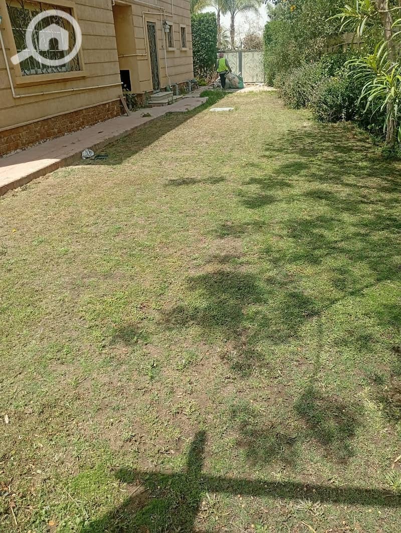 6 1000697483. jpg