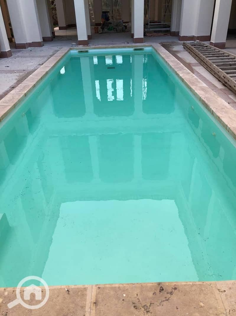 6 1000233745. jpg