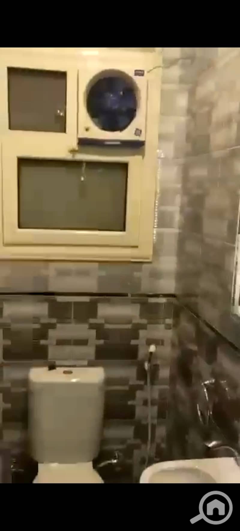 3 1000846387. jpg