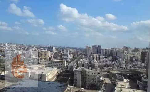 شقة 3 غرف نوم للايجار في سموحة، الإسكندرية - 9. png شقة 3 غرف نوم للايجار في سموحة، الإسكندرية - 9. png