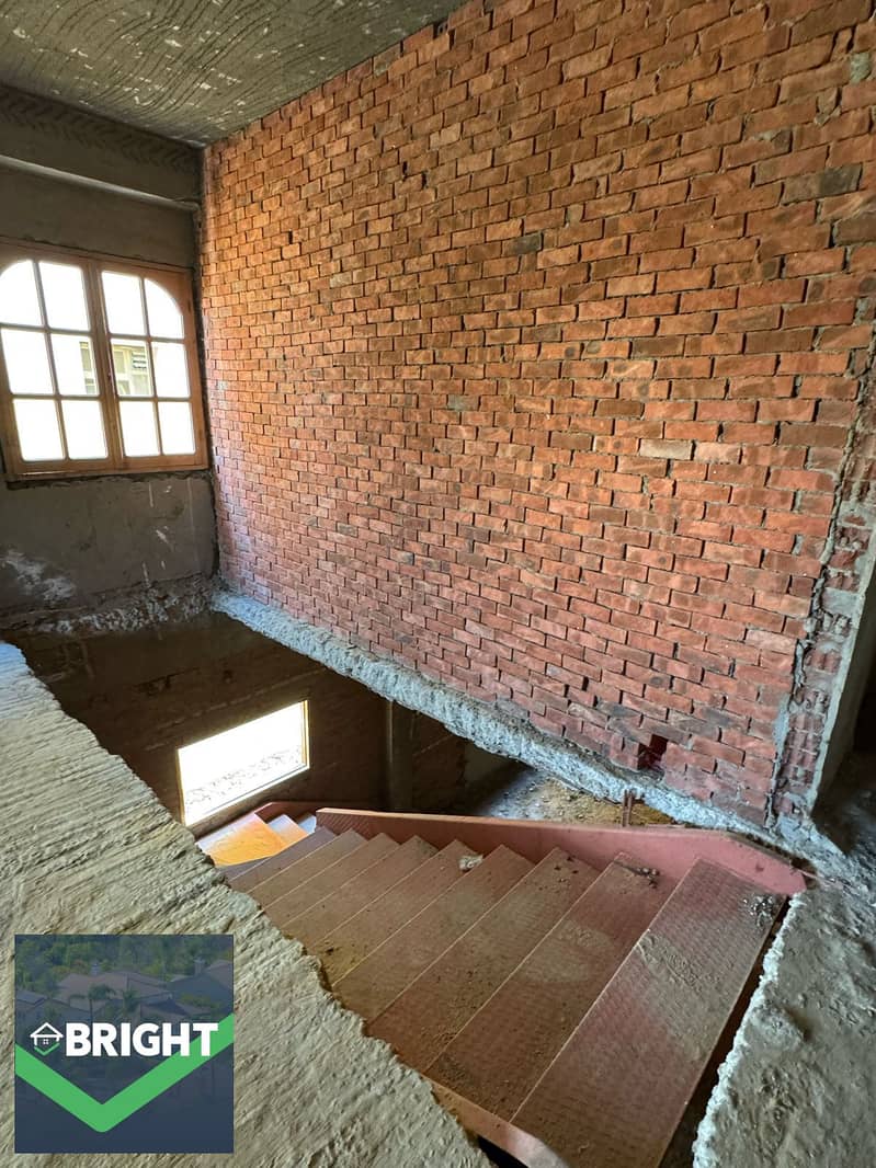 3 1000276055. jpg
