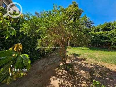 3 Bedroom Apartment for Sale in Maadi, Cairo - WhatsApp Image 2026-09-04 at 5.19. 20 PM (1). jpeg