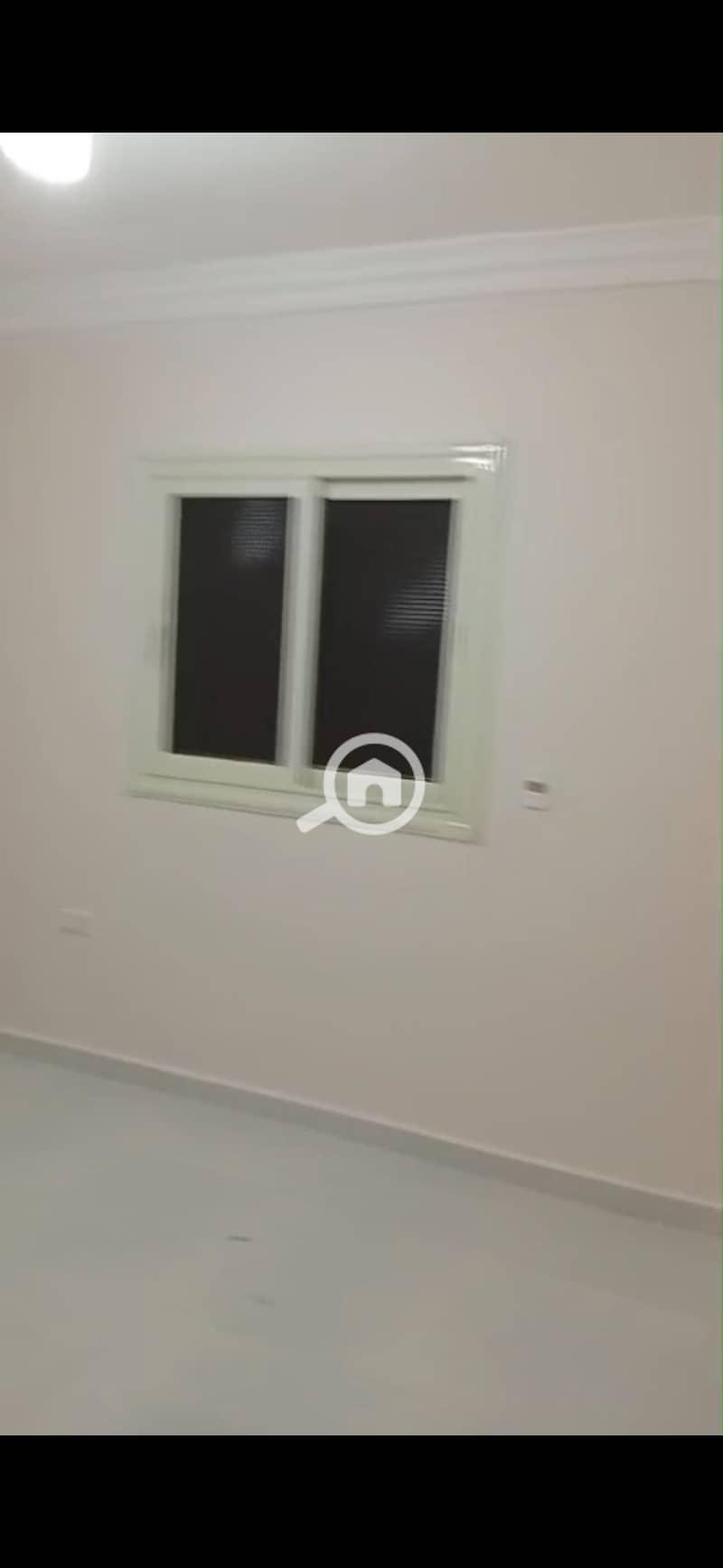 6 129776. jpg