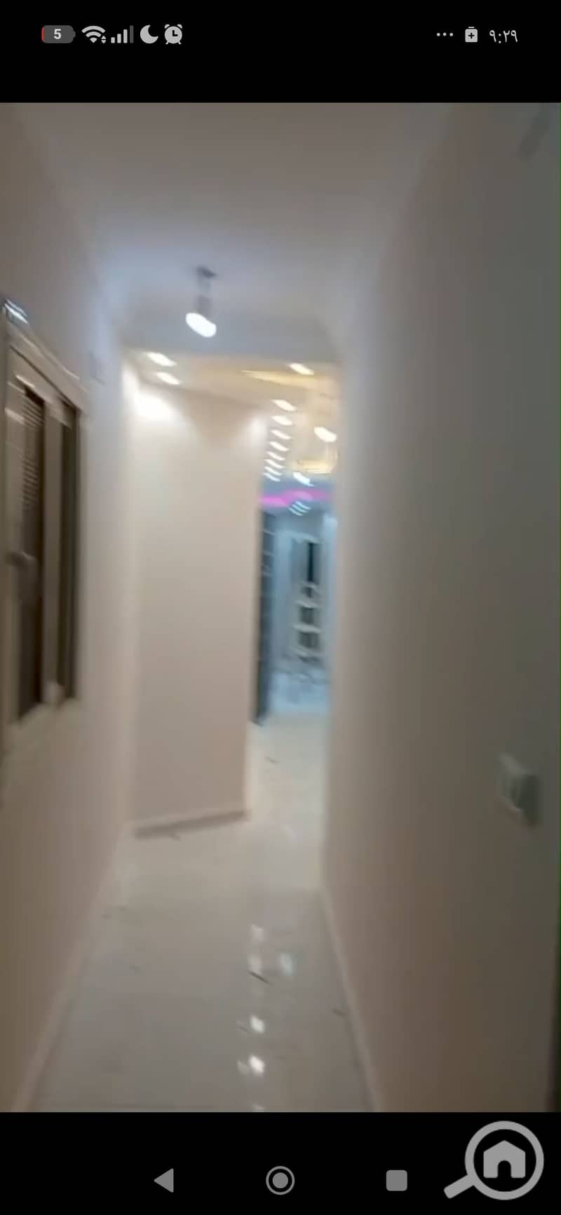 11 129775. jpg