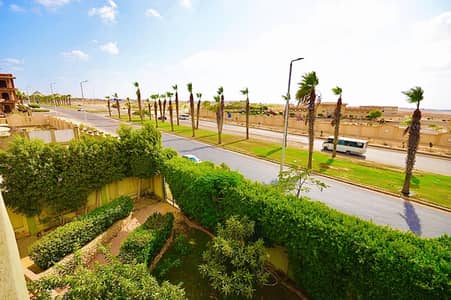 فیلا 10+ غرف نوم للايجار في برج العرب، الإسكندرية - Luxury Standalone Villa for Annual Rent | Borg El Arab