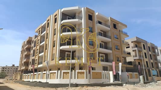 3 Bedroom Flat for Sale in New Cairo, Cairo - WhatsApp Image 2026-09-05 at 11.27. 57 AM. jpeg 3 Bedroom Flat for Sale in New Cairo, Cairo - WhatsApp Image 2026-09-05 at 11.27. 57 AM. jpeg