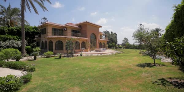 7 Bedroom Villa for Sale in King Mariout, Alexandria - فيلا للبيع بكينج مريوط على فدان ٧ غرف وبسين وحديقة واسعة