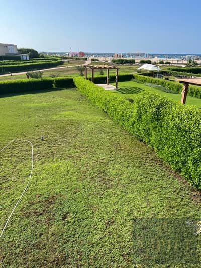 4 Bedroom Villa for Sale in North Coast, Matruh - WhatsApp Image 2026-09-02 at 7.07. 48 PM (1). jpeg 4 Bedroom Villa for Sale in North Coast, Matruh - WhatsApp Image 2026-09-02 at 7.07. 48 PM (1). jpeg