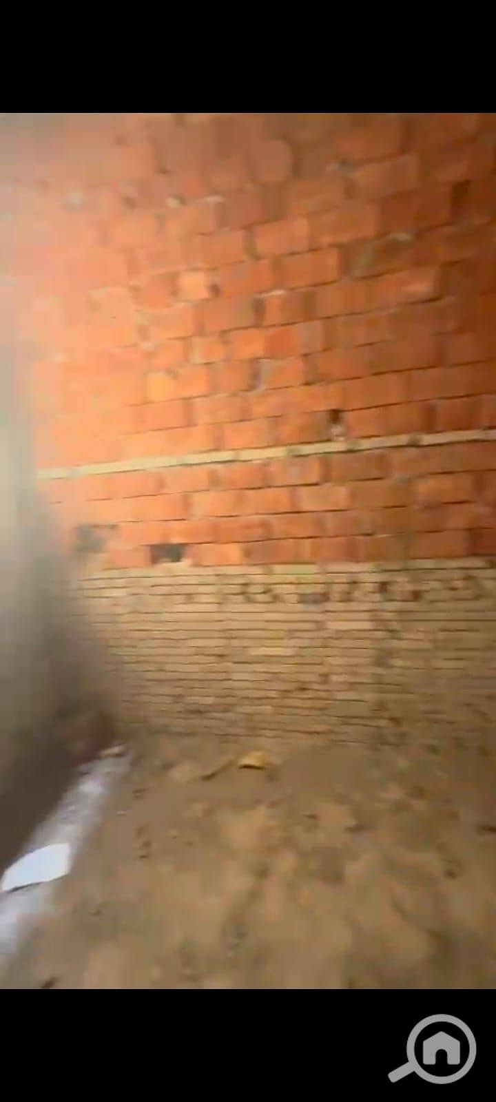 2 1000154843. jpg