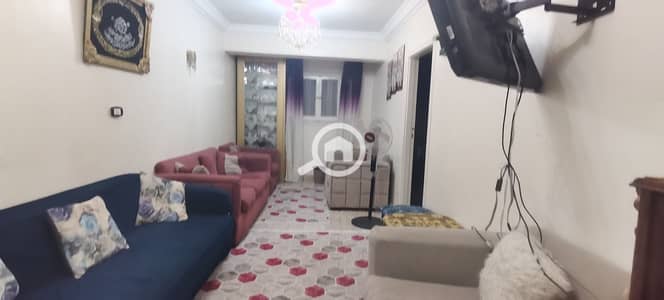 2 Bedroom Flat for Rent in Sidi Beshr, Alexandria - IMG_20260830_191834. jpg 2 Bedroom Flat for Rent in Sidi Beshr, Alexandria - IMG_20260830_191834. jpg