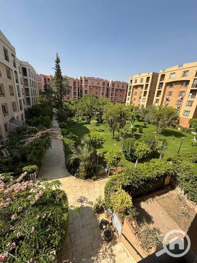 3 Bedroom Flat for Rent in New Cairo, Cairo - صورة واتساب بتاريخ 1447-01-12 في 12.38. 52_699defe0. jpg