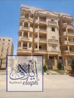 3 Bedroom Flat for Sale in New Cairo, Cairo - WhatsApp Image 2026-09-05 at 4.17. 35 PM (1). jpeg 3 Bedroom Flat for Sale in New Cairo, Cairo - WhatsApp Image 2026-09-05 at 4.17. 35 PM (1). jpeg