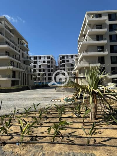 3 Bedroom Flat for Sale in Palm Hills, Alexandria - WhatsApp Image 2026-07-04 at 16.01. 14 (1). jpeg 3 Bedroom Flat for Sale in Palm Hills, Alexandria - WhatsApp Image 2026-07-04 at 16.01. 14 (1). jpeg