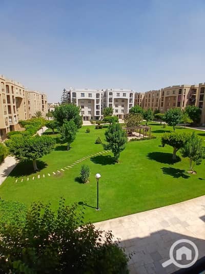شقة 2 غرفة نوم للايجار في القاهرة الجديدة، القاهرة - WhatsApp Image 2026-09-05 at 2.42. 39 PM. jpeg شقة 2 غرفة نوم للايجار في القاهرة الجديدة، القاهرة - WhatsApp Image 2026-09-05 at 2.42. 39 PM. jpeg
