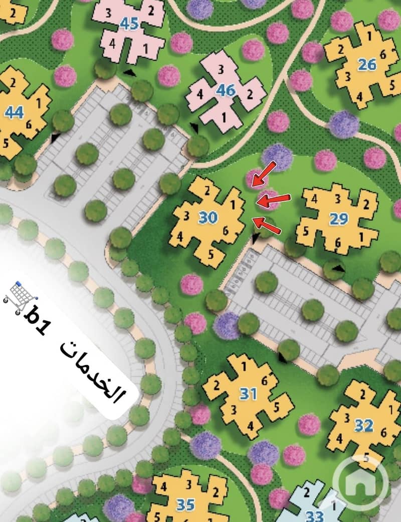 3 144489. jpg