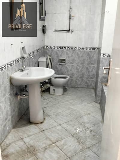 2 Bedroom Flat for Rent in Maadi, Cairo - 1000259767. jpg