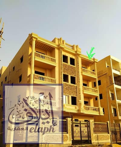 شقة 3 غرف نوم للبيع في القاهرة الجديدة، القاهرة - 419ef562-19cd-45c7-8884-6e0a7270edb4. jpg شقة 3 غرف نوم للبيع في القاهرة الجديدة، القاهرة - 419ef562-19cd-45c7-8884-6e0a7270edb4. jpg